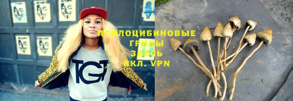 MDMA Premium VHQ Белокуриха