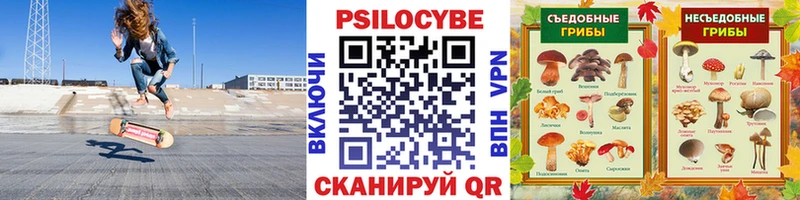 Псилоцибиновые грибы мухоморы Светогорск
